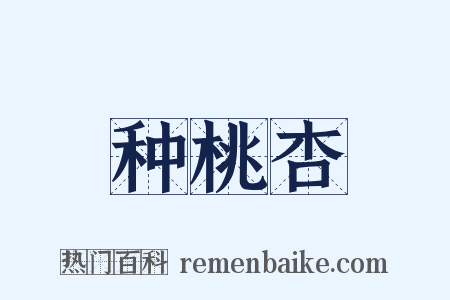 种桃杏是什么意思的图片